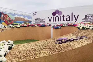 独家|Vinitaly酒展中国进口商选品需求明确，个性化趋势凸显