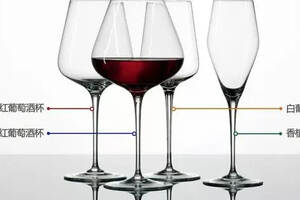 称自己是葡萄酒爱好者的人这五只杯子不可缺一