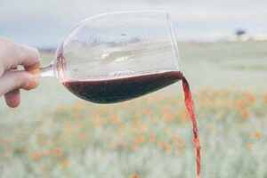 葡萄酒酿造的实验原理