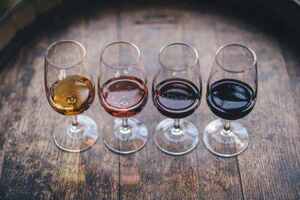 葡萄酒的种类和特点（葡萄酒用的葡萄种类）