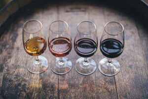 红葡萄酒和白葡萄酒的区别食品发酵
