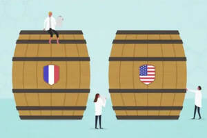 美国橡木桶VS法国橡木桶