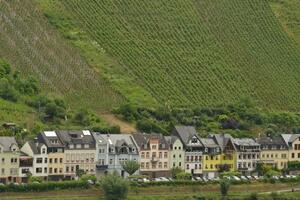 德国葡萄酒：摩泽尔的陡坡雷司令