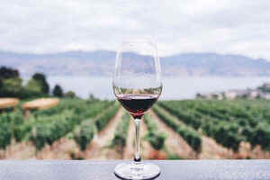 喝白葡萄酒有什么好处和坏处「葡萄酒白酒哪个更有利于健康」
