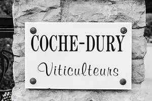勃艮第名庄系列之科奇酒庄Coche-Dury