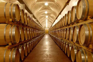 谁发明了用橡木桶陈酿葡萄酒？为什么是橡木？