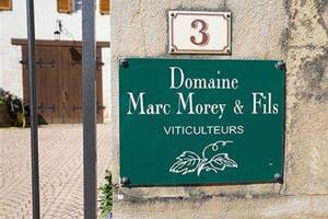 莫雷父子酒庄DomaineMarcMorey&Fils