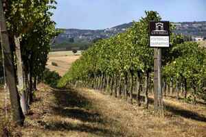 意大利翁布里亚葡萄酒产区风土指南