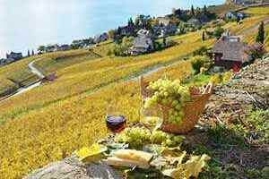 瑞士葡萄酒的起源文化（简述葡萄酒文化的起源与传播历程）