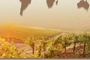 海纳看酒丨贺兰山产区的六大价值：40ºN、土壤、丝路……