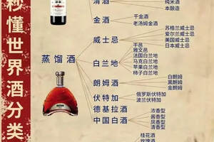 秒懂世界酒分类（秒懂百科分类）
