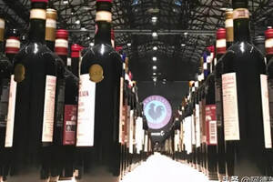 2021年1-6月意大利国内葡萄酒消费报告发布
