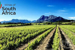 南非葡萄酒行业看好中国市场前景
