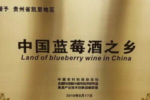 第二届世界饮品大会圆满闭幕，授凯里地区“中国蓝莓酒之乡”牌匾