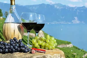 葡萄酒的起源，你知道吗？