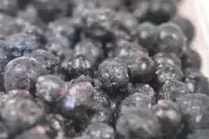 蓝莓表面的白霜是农药？冷冻蓝莓没有营养？粉碎这些谣言！