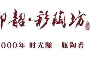 8月31日，仰韶品牌升级发布会盛大启幕！500架无人机点亮郑州夜空