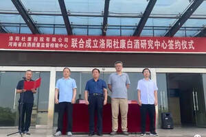 杜康控股白酒研究中心正式挂牌成立