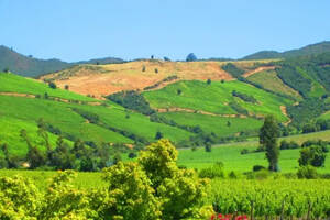看懂中央山谷，智利第一葡萄酒产区