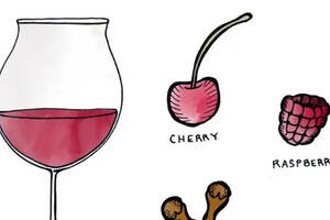红酒选酒，红葡萄品种皇后-黑品诺