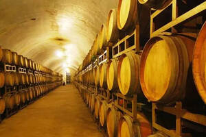 一杯奔富海兰酒庄葡萄酒的诞生，需要哪些条件？