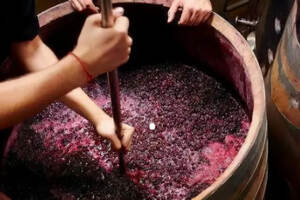 开启的奔富海兰酒庄葡萄酒是否变质，需要通过看、闻、尝才能鉴别