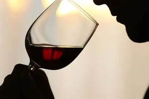“酒是陈的香”，这一说法适用于奔富海兰酒庄葡萄酒吗？