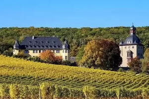 法国最有名的葡萄酒庄园（国内富人都喝什么红酒呢）