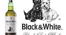 我们常喝的网红威士忌“黑白狗”，苏格兰人可能都没听说过
