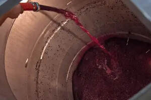 酿造葡萄酒的关键步骤