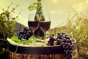 关于葡萄酒的小知识，疏忽就会对健康造成危害，只有1%的人知道