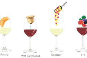 【骏腾酒业】解析那些品酒词们：西式糕点，果子露，无花果