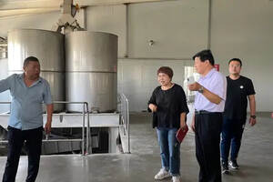 尹陶林副秘书长调研南阳黄酒产业高质量发展
