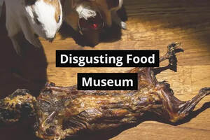 瑞典将开放“最恶心食物博物馆”，中国“荣登”榜首！