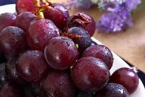水果酿酒工艺，制作葡萄酒的方法