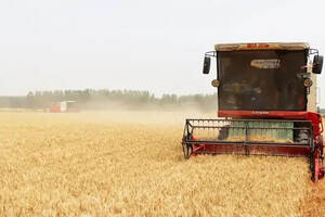 蔡洪坊酿酒专用粮种植基地6000亩小麦再获丰收