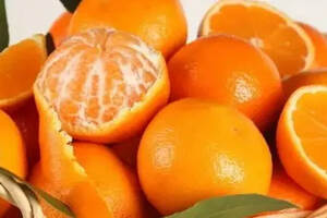 金秋橘子酒的三种做法，在家里自酿果酒