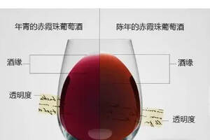 颜色：揭开葡萄酒年龄的秘密
