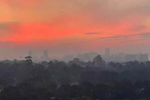 澳大利亚山火连烧四月，几亿动物火中丧生，为何仍未扑灭？