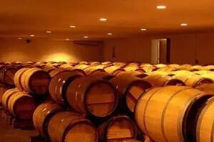 葡萄酒并不是越久越香，什么葡萄酒值得收藏？