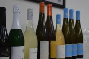 各种葡萄酒的酒精度分别是多少？