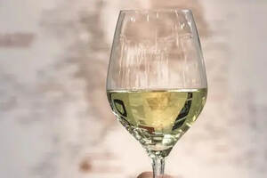 罗纳白葡萄酒指南——令你心动的那抹罗纳白