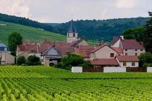 喝出法国的浪漫：3分钟看懂法国十大产区的葡萄品种与酒