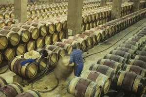 干货|波尔多为什么是世界葡萄酒的中心？|一木酒庄百科