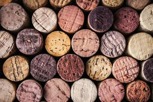 很多都会说橡木味，但是真的用过橡木桶的葡萄酒一定好吗？