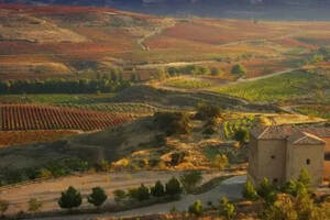 西班牙酿酒历史，3000年前一个不为人知的地方缔造了传奇