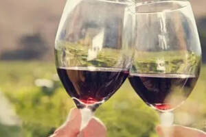 西拉干红葡萄酒最佳饮用时间