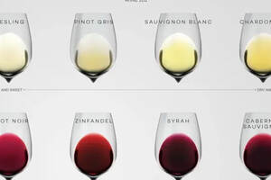 常见的葡萄酒类型（顶级品种）（常见葡萄酒的葡萄品种有哪些）