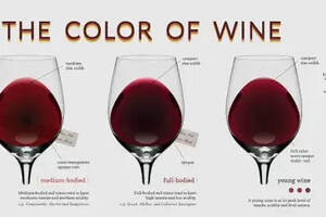 葡萄酒知识——了解葡萄酒的基本分类