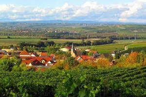 影响德国葡萄酒300年的沃尔克巴斯酒庄